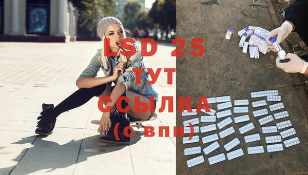 mix Богородицк