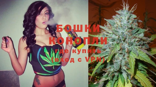 mix Богородицк