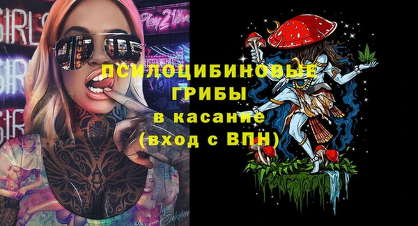 молекула духа Богородск