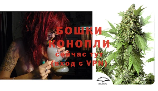 молекула духа Богородск