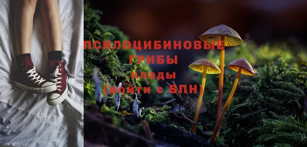 mix Богородицк