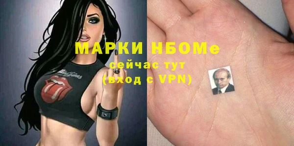 mix Богородицк