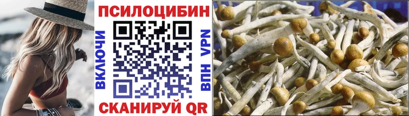Галлюциногенные грибы прущие грибы  Долинск 